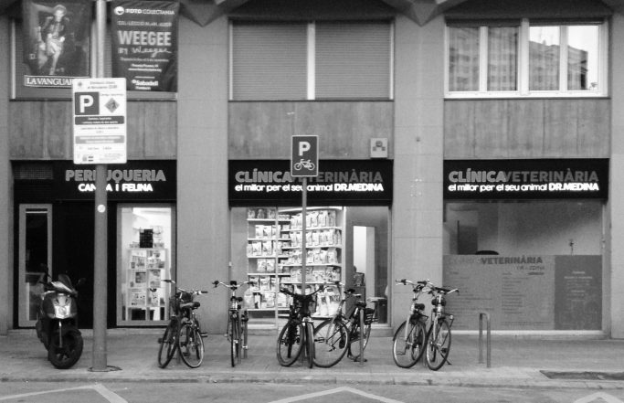 CLINICA VETERINARIA DR.MEDINA